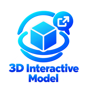 3d-interactive-model-300x300