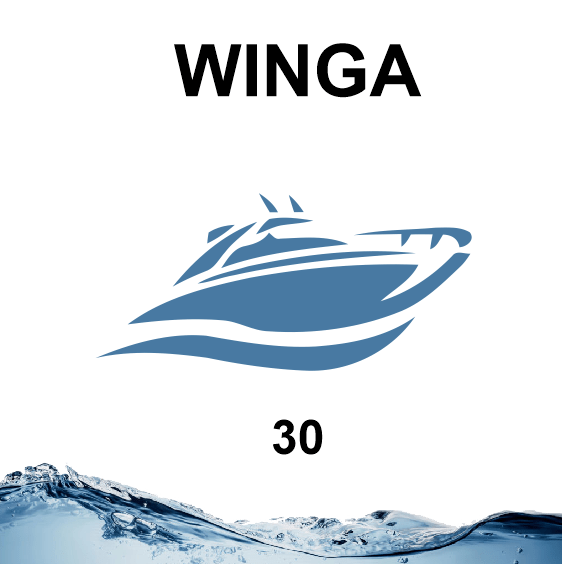 Winga 30
