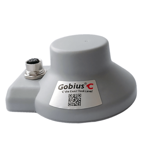 Gobius C 01
